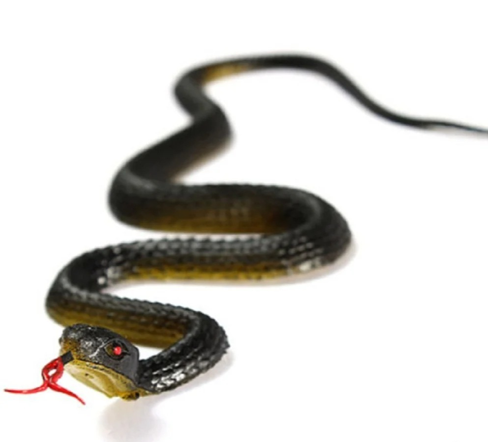 Prank Toys - Serpente giocattolo realistico in gomma, lungo