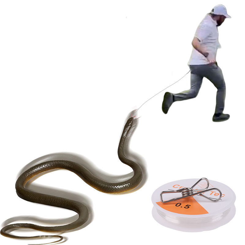Serpente Giocattolo da Esterno - Prank Toys recensione e prezzo