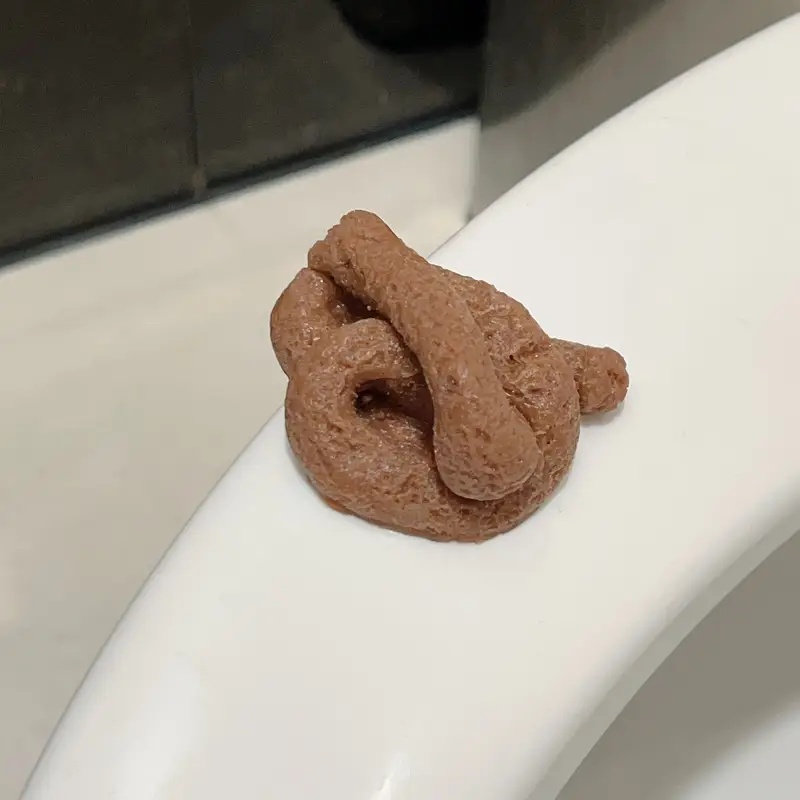 Giocattolo realistico di scher - Fake Poop Gag Gift recensione e prezzo