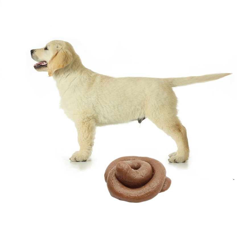 Giocattolo Divertente a Forma  - Fake Poop Gag Gift recensione e prezzo